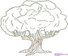 a drawing of a large tree with leaves and branches in the shape of a heart