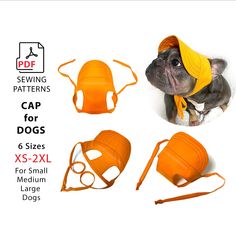 the dog is wearing an orange bandana and matching headgear with other accessories