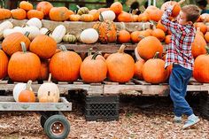 a young boy standing next to a pile of pumpkins