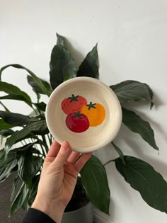 a hand holding a white bowl with three tomatoes on it and a potted plant in the background