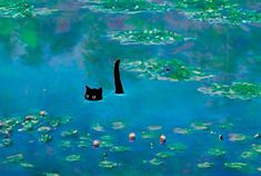 a black cat floating in water with lily pads on it's back and its tail sticking out