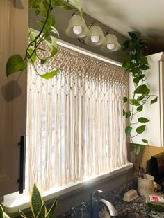 a kitchen window covered in plants and hanging from the side of it's valance