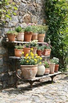 many potted plants are arranged on a shelf in front of a stone wall and cobblestone walkway