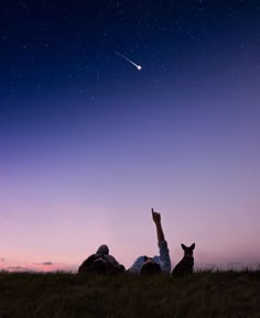 two people laying in the grass with their dog watching the sky at night, one person is reaching up to the stars