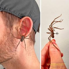 there is a spider on the back of a man's head and an ear