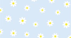 white and yellow daisies on a light blue background, with small dots in the center