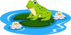 a frog sitting on top of a lily pad