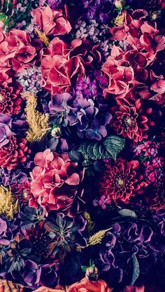 a bunch of flowers that are on the ground in front of a wall with purple and red colors