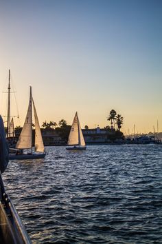 several sailboats are sailing in the water at sunset