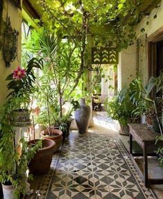 an outdoor area with potted plants and benches