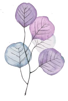 three purple and blue leaves are shown in this watercolor painting on white paper with black ink