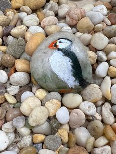 there is a bird painted on the rocks