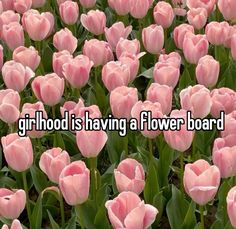 a field full of pink tulips with the words girlhood is having a flower board