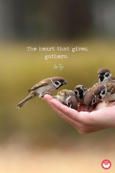 a person holding birds in their hand with a quote on the back saying, the heart that gives, gatherers be for