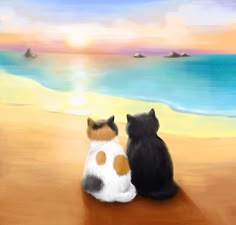 two cats sitting on the beach looking out at the ocean