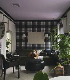 a living room with a dog sitting on the couch next to a chair and potted plant