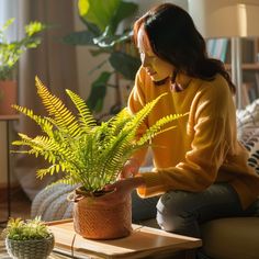 a woman sitting on a couch next to a potted plant