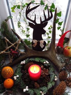 a deer head sitting on top of a table next to pine cones and oranges