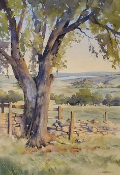 a watercolor painting of a tree in the middle of a field with fence posts