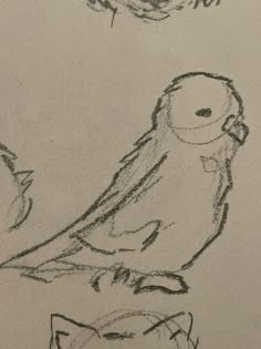 a drawing of two birds sitting on top of each other