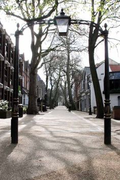 an empty street lined with tall buildings and trees