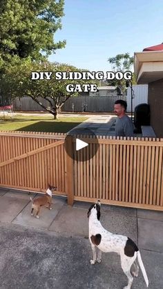 two dogs standing next to each other near a wooden fence with the caption diy sliding dog gate