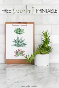 a clipboard with succulents on it next to a potted plant