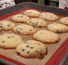 twelve chocolate chip cookies cooling on a baking sheet in an oven, ready to go into the oven