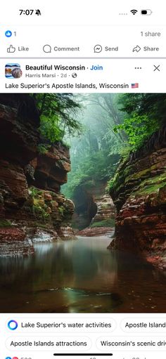 an image of a river in the middle of a forest with trees and rocks on it