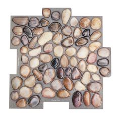 several different types of rocks are arranged on the floor