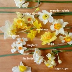 flowers that are labeled in different languages on a wooden surface with the words daffodils written below them