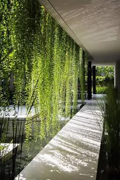 the instagram page on instagram shows an image of a walkway and water feature