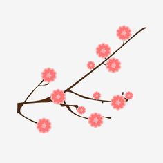 a branch with some pink flowers on it