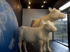 two statues of cows standing next to each other in front of a glass wall with the earth behind them