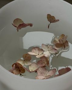 some pink flowers floating in a white bowl filled with water and leaves on the surface