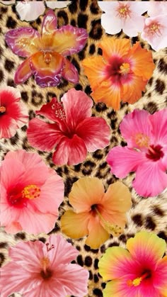 colorful flowers on leopard print background