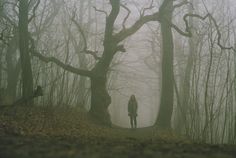 a person standing in the middle of a forest on a foggy, dreary day