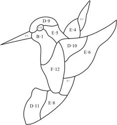 a hummingbird is shown in the diagram below