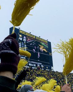 the fans are holding their pom poms in front of the big screen at michigan