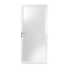 a white door with a mirror on the front and side paneled in brass hardware