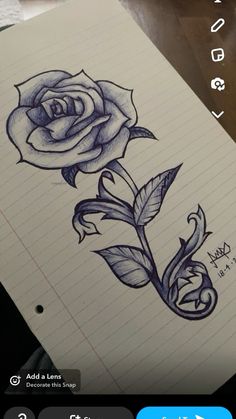 a drawing of a rose on lined paper