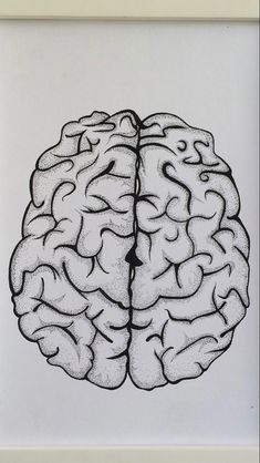 a black and white drawing of a human brain