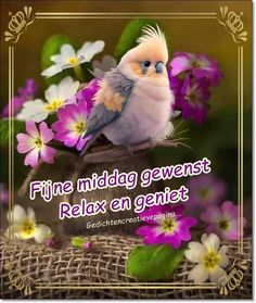 a bird sitting on top of a wooden table next to purple and white flowers with the words fine friday gewenst relax en genet