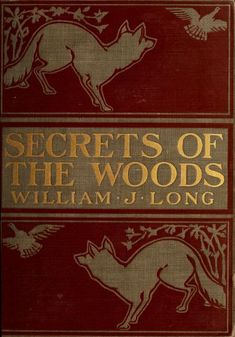 the book cover for secrets of the woods with an image of a fox on it