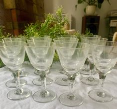 six wine glasses sitting on top of a table