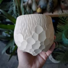 a hand holding a white vase in front of plants