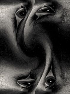 an abstract photograph of two faces in black and white