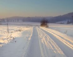 a snow covered road in the middle of a field with trees and bushes on both sides