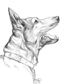 a drawing of a dog with its mouth open