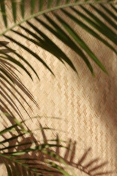 a close up of a palm leaf on a woven wallpapered with brown and tan colors